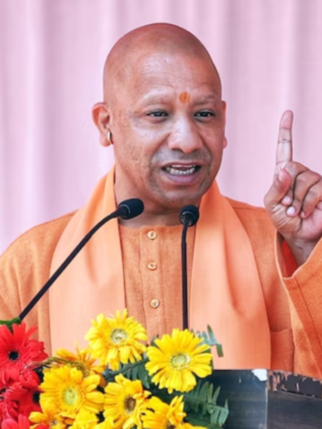 yogi