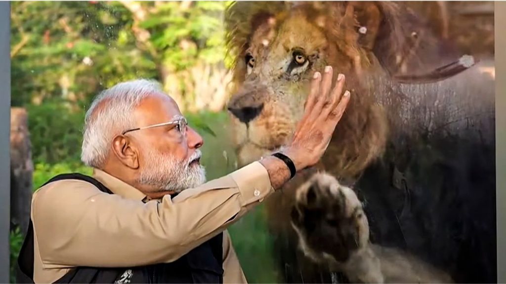 PM Modi in Vantara : PM मोदी ने ‘वनतारा’ का किया उद्घाटन, जानवरों के साथ की खूब मस्ती