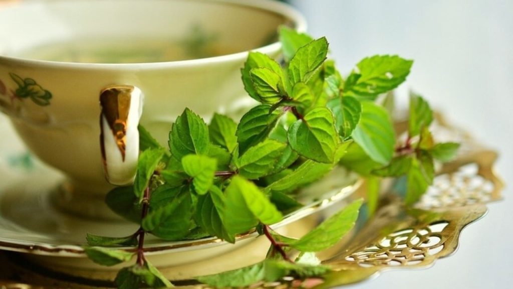 Benefit of Mint: गर्मी से तुरंत मिलेगी राहत, पुदीना के फायदे जानकर दिमाग को करिए ‘कूल’