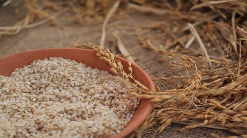 Benefits of Brown Rice: सेहत के लिए काफी फायदेमंद होता है ब्राउन राइस, इन 4 स्वास्थ समस्याओं से बचाव