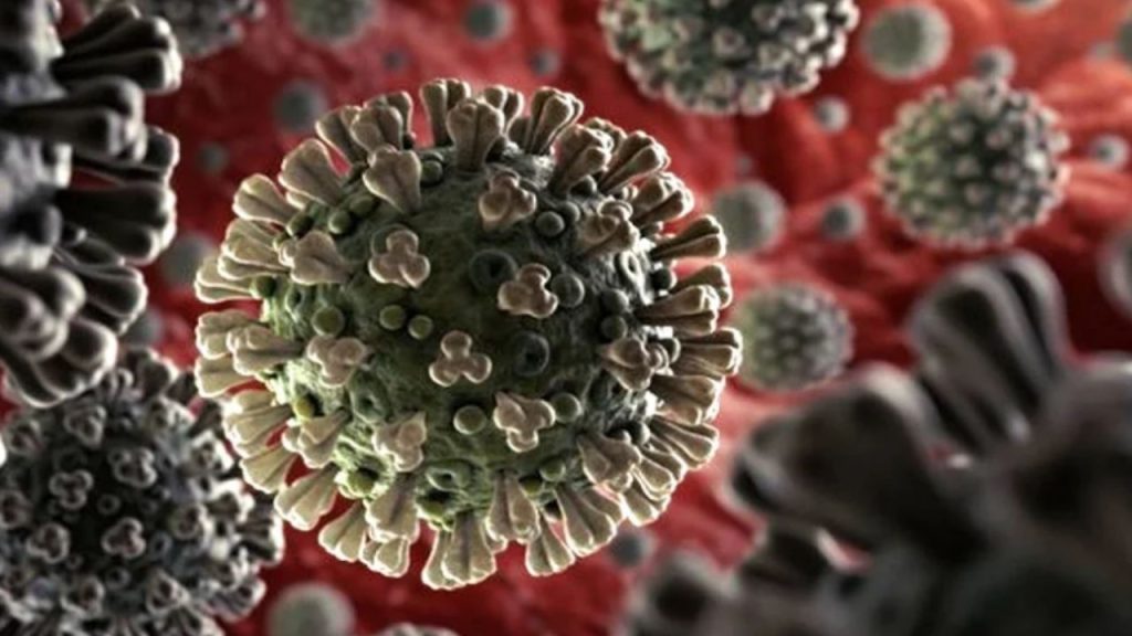 Corona Virus : फिर लौटा कोरोना, देशभर में मचा हड़कंप! बुजुर्ग, बच्चे और गर्भवती महिलाएं रहें घर के अंदर