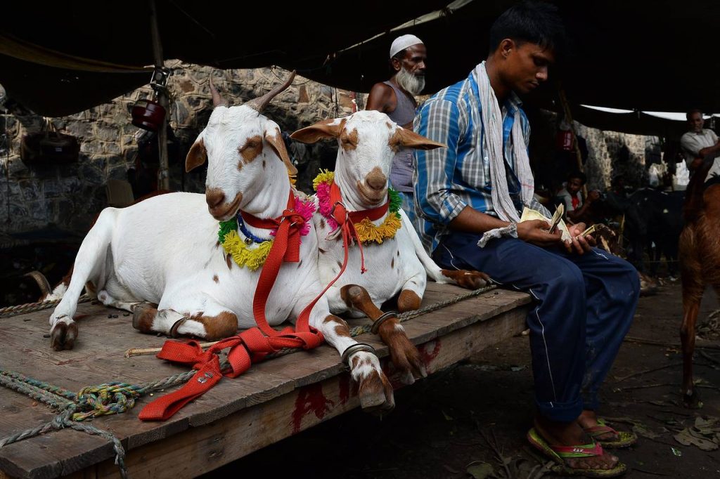 Eid Ul Adha 2025: दिल्ली में बकरीद पर एडवाइजरी जारी, कुर्बानी को लेकर दिए सख्त निर्देश