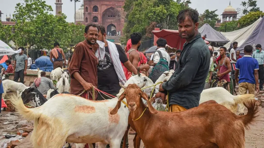 Bakra Eid 2025: बकरीद पर कुर्बानी को लेकर सख्त चेतावनी, शाही इमाम ने जारी किया फरमान