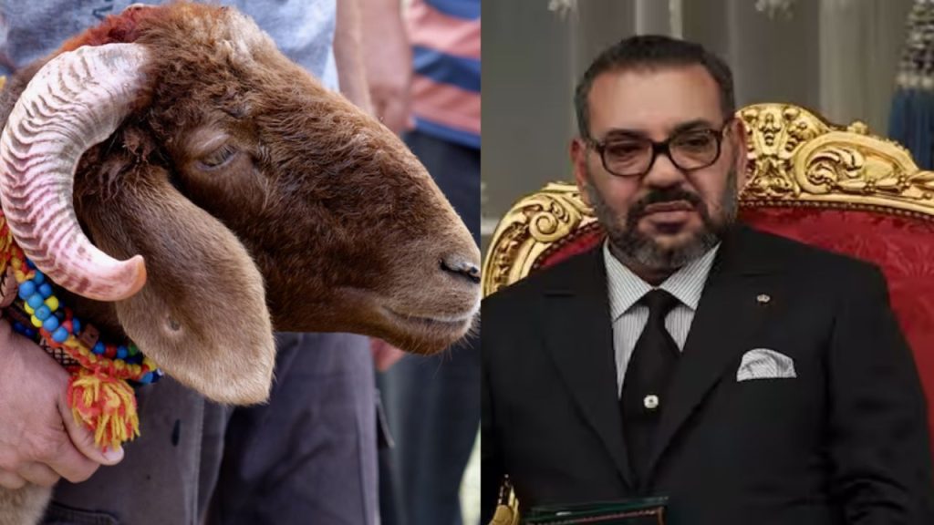 Bakrid 2025: बकरीद पर नहीं होगी किसी भी जानवर की कुर्बानी…मुस्लिम आबादी वाले देश ने किया बड़ा ऐलान