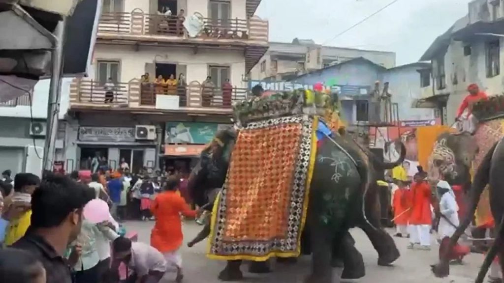 Jagannath Yatra 2025: जगन्नाथ रथ यात्रा में बेकाबू हुए तीन हाथी, मची भगदड़ चार लोग हुए घायल