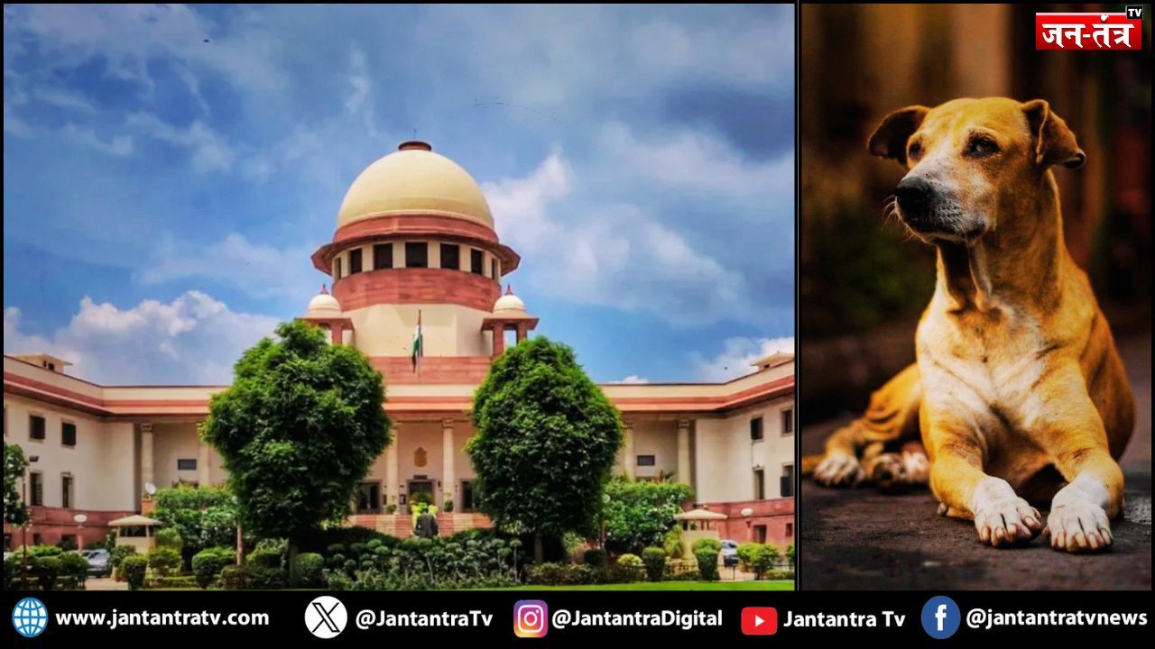 सुप्रीम कोर्ट ने पकड़े गए कुत्तों को छोड़ने का आदेश दिया है