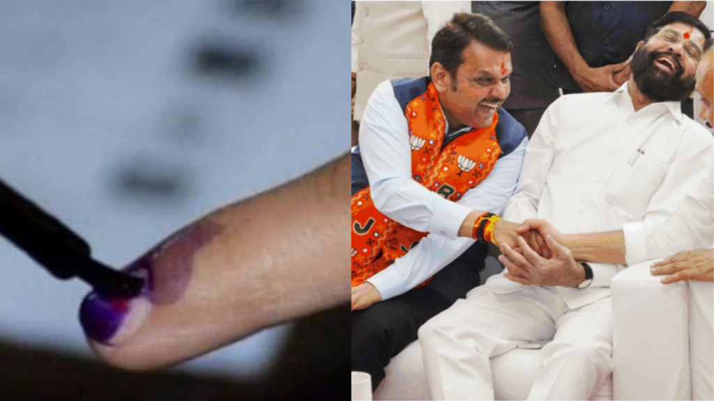 बीएमसी चुनाव: क्या उंगलियों से हटाई गई स्याही? राज ठाकरे ने उठाए सवाल, फडणवीस ने दिया ये जवाब!
